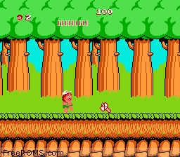 Adventure Island Screen Shot 2