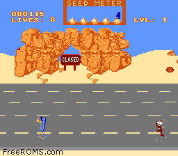 Road Runner Screen Shot 2