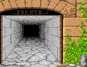 Dungeon Master Screen Shot 2